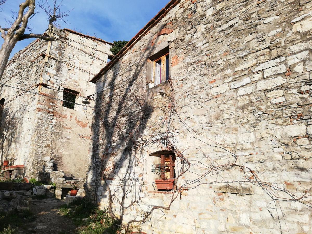 Agriturismo Casamatta Azienda Agricola Calenzano Exteriör bild